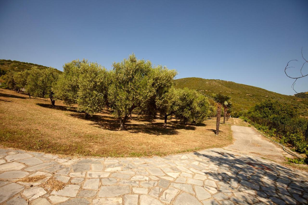 Villa Maria by Travel Pro Services - Ouranoupoli Halkidiki Esterno foto